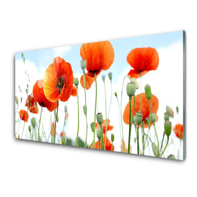 Glasbild aus Plexiglas® Mohnblumen Pflanzen