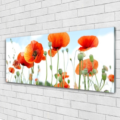 Glasbild aus Plexiglas® Mohnblumen Pflanzen