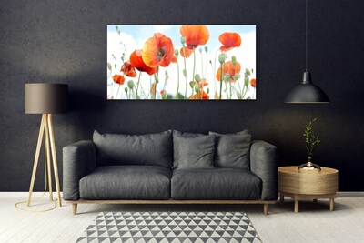 Glasbild aus Plexiglas® Mohnblumen Pflanzen