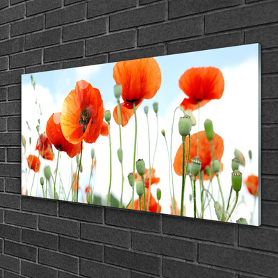 Glasbild aus Plexiglas® Mohnblumen Pflanzen