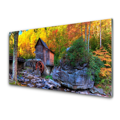 Glasbild aus Plexiglas® Wald Steine Natur