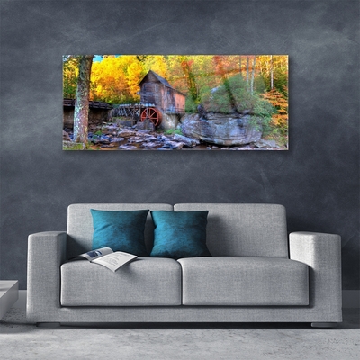 Glasbild aus Plexiglas® Wald Steine Natur