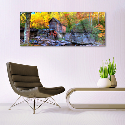 Glasbild aus Plexiglas® Wald Steine Natur