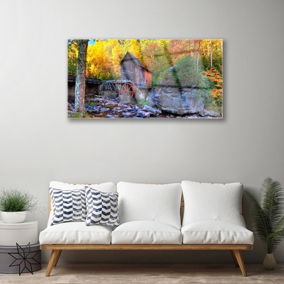 Glasbild aus Plexiglas® Wald Steine Natur