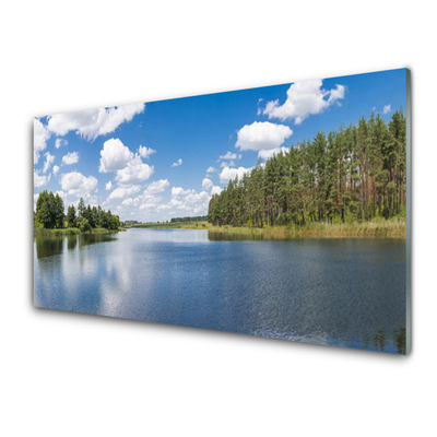 Glasbild aus Plexiglas® Wald See Landschaft