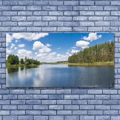 Glasbild aus Plexiglas® Wald See Landschaft