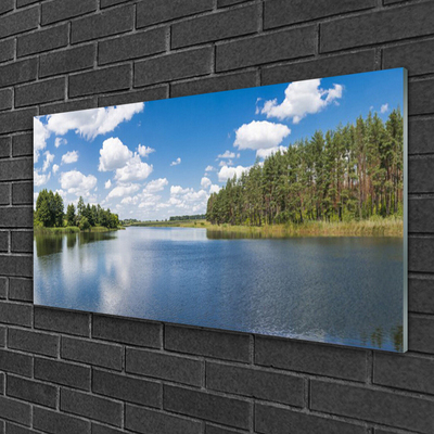 Glasbild aus Plexiglas® Wald See Landschaft