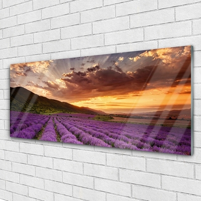 Glasbild aus Plexiglas® Gebirge Wiese Blumen Landschaft