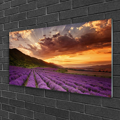 Glasbild aus Plexiglas® Gebirge Wiese Blumen Landschaft