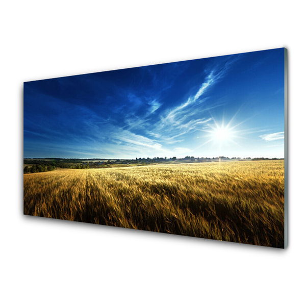 Glasbild aus Plexiglas® Acker Himmel Natur