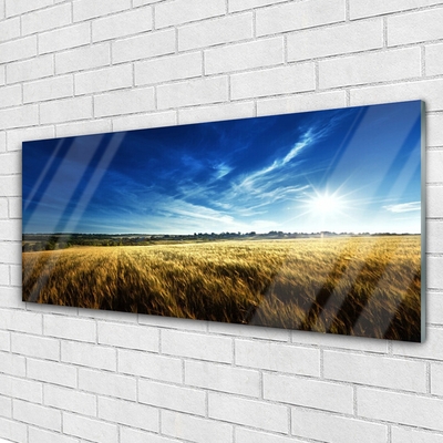 Glasbild aus Plexiglas® Acker Himmel Natur