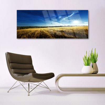 Glasbild aus Plexiglas® Acker Himmel Natur