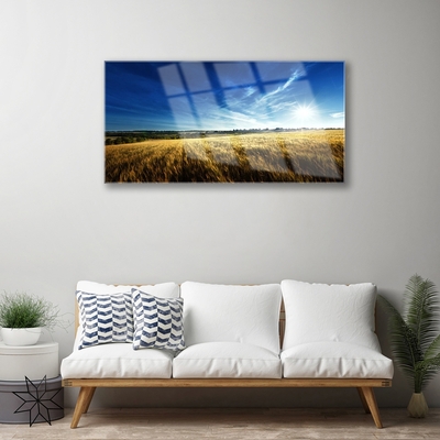 Glasbild aus Plexiglas® Acker Himmel Natur