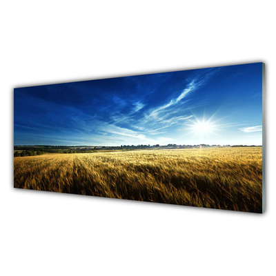 Glasbild aus Plexiglas® Acker Himmel Natur