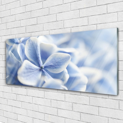 Glasbild aus Plexiglas® Blumen Pflanzen