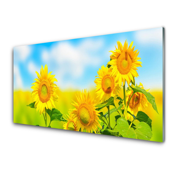 Glasbild aus Plexiglas® Sonnenblumen Pflanzen