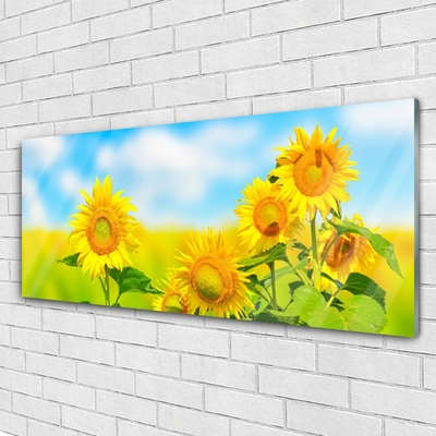 Glasbild aus Plexiglas® Sonnenblumen Pflanzen