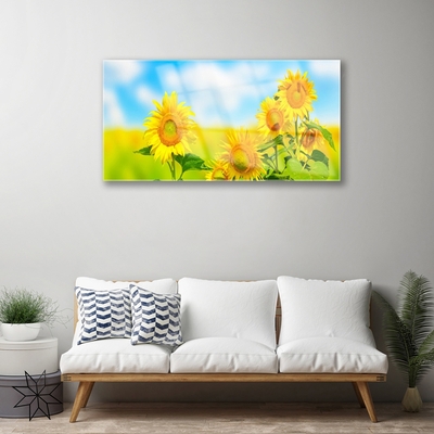 Glasbild aus Plexiglas® Sonnenblumen Pflanzen