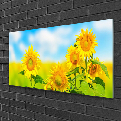 Glasbild aus Plexiglas® Sonnenblumen Pflanzen