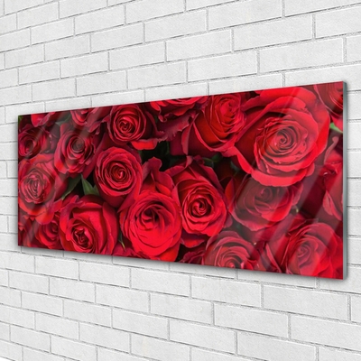 Glasbild aus Plexiglas® Rosen Pflanzen