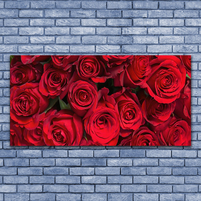 Glasbild aus Plexiglas® Rosen Pflanzen