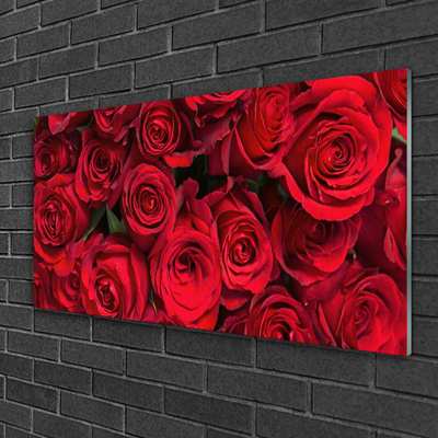 Glasbild aus Plexiglas® Rosen Pflanzen