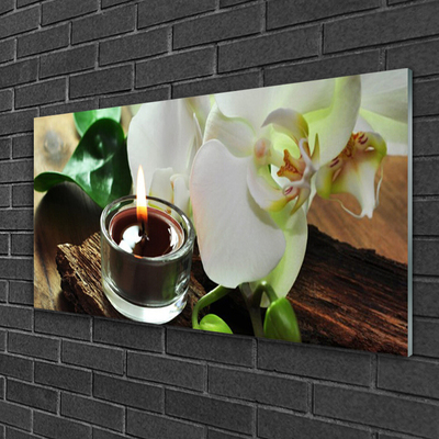 Glasbild aus Plexiglas® Blume Kerze Pflanzen