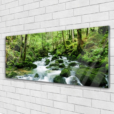 Glasbild aus Plexiglas® Wald See Steine Natur