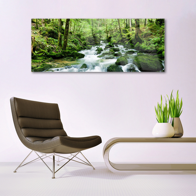 Glasbild aus Plexiglas® Wald See Steine Natur