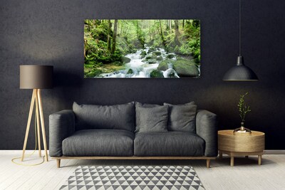 Glasbild aus Plexiglas® Wald See Steine Natur