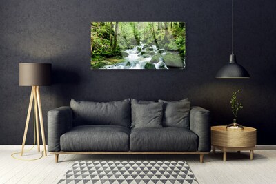 Glasbild aus Plexiglas® Wald See Steine Natur