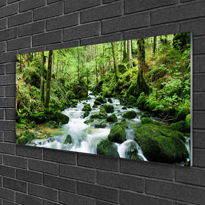 Glasbild aus Plexiglas® Wald See Steine Natur