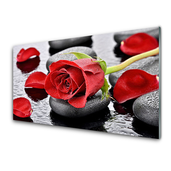 Glasbild aus Plexiglas® Rose Steine Pflanzen