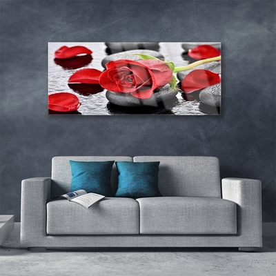 Glasbild aus Plexiglas® Rose Steine Pflanzen