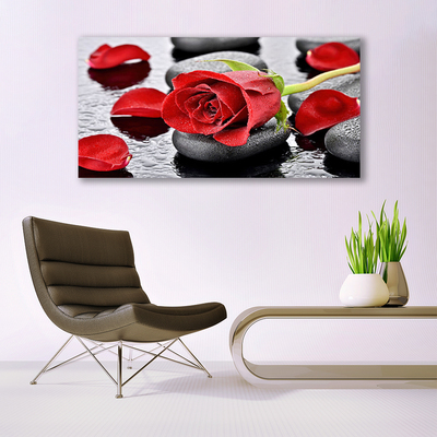 Glasbild aus Plexiglas® Rose Steine Pflanzen