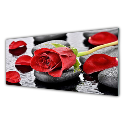 Glasbild aus Plexiglas® Rose Steine Pflanzen