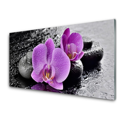 Glasbild aus Plexiglas® Blumen Steine Pflanzen