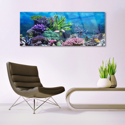 Glasbild aus Plexiglas® Korallenriff Natur