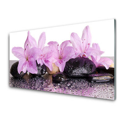 Glasbild aus Plexiglas® Blumen Steine Pflanzen