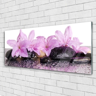 Glasbild aus Plexiglas® Blumen Steine Pflanzen