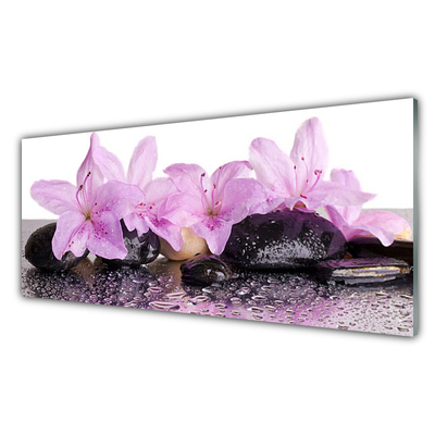 Glasbild aus Plexiglas® Blumen Steine Pflanzen