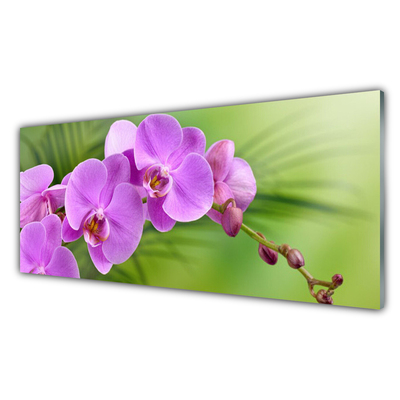 Glasbild aus Plexiglas® Blumen Gebäude