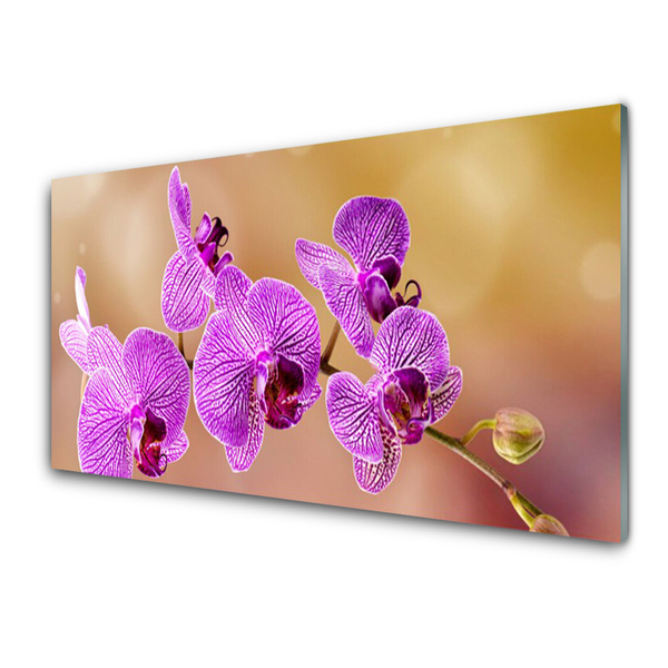 Glasbild aus Plexiglas® Blumen Pflanzen