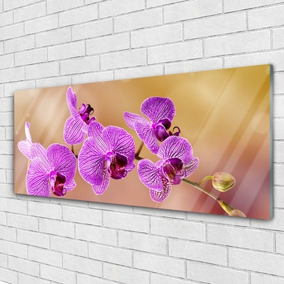 Glasbild aus Plexiglas® Blumen Pflanzen