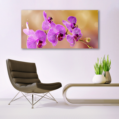 Glasbild aus Plexiglas® Blumen Pflanzen