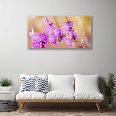 Glasbild aus Plexiglas® Blumen Pflanzen