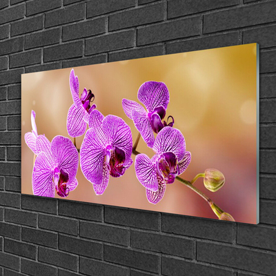 Glasbild aus Plexiglas® Blumen Pflanzen