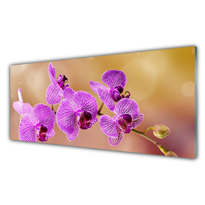 Glasbild aus Plexiglas® Blumen Pflanzen