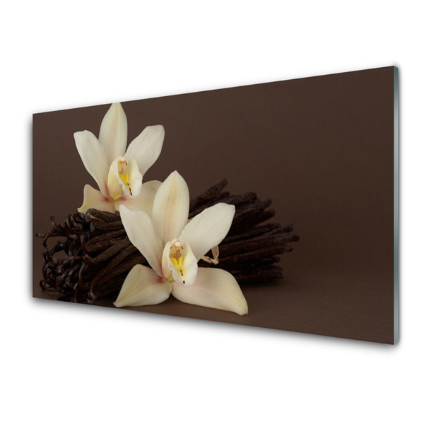 Glasbild aus Plexiglas® Vanille Pflanzen