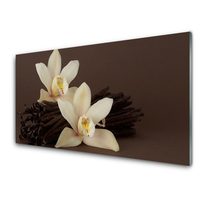 Glasbild aus Plexiglas® Vanille Pflanzen
